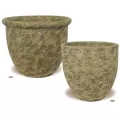 MCarr 40PC Belly & Egg Plntr PLT Mossy Yellow