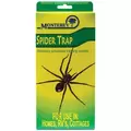 Monterey Spider Trap 4ct