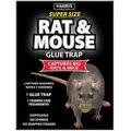 Harris 1pk Black Rat Glue Board