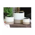 Jewel 7" Mug Pot Ivs
