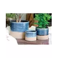 Jewel 4.5" Mug Pot Ntb