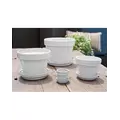 Verandah 6.5x5.5 White Standard with Saucer