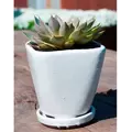 Verandah Oahu Size B Wsp