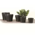 Scheurich 4.25" Anthracite 808/11 Planter