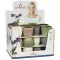 Scheurich 3.75" Corteza Assorted 866/10 Planter