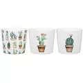 Scheurich 2.75" Cactus Gdn Asst 870/07 Planter