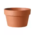 Southern Patio 10.5" Azalea Clay Pot