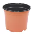 JAN 19CM L 08.00 POT BLK/TC 360/CS 16CS/PL