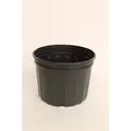 NS 1000SCU CUSTOM SQUAT, TRADE SIZE 2 GALLON, 1.95 GALLON, BLACK 75/CS 36CS/TOWER (10-1/8"X7-1/2"), 2Gallon