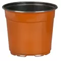 DLN 17.00 CM EURO POT COEX TALL TC 294/CS 32CS/PL