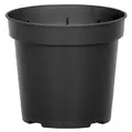 DLN 04.50 RND GER T/W BLK 850/CS 38CS/PL