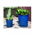 Verandah 7.5" F Blue Waikiki Orchid Pot