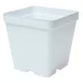 T. O. Plastics 03.25 Press Fit Pot Square Vacuum Deep 325 White 450 Per Case 48 Cases Per Pallet Minimum Order Quantity Needed 96 Cases Use With 705119C Tray Minimum Order Quantity 96 Cases