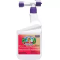 Bonide Qt Dead Bug Brew RTS With Hose End Sprayer