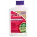 Bonide 8oz Liquid Pyrethrin Concentrate