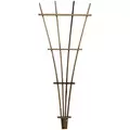 A&G 6' Fan Trellis