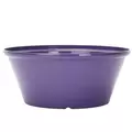 Gardener Select 12" Tulip Bowl Purple Planter 15/CS