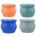 MCarr 8PC 6" Self Water Round Pot Asst