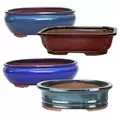 MCarr 4PC 12" Bonsai Planter Set Mixed Colors