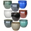 MCarr 81PC Delta Planter Plt Mixed