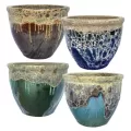 MCarr 24pc Volcanic Planter Pallet Mixed Colors
