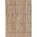 WSP HG 13'x6'6" Reed Fencing