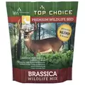 Top Choice Brassica Mix 4