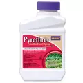 Bonide Pt Pyrethrin Garden Insect Spray