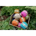 Bosmere Nutscene Twine 164' Asst Colors