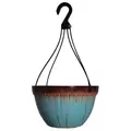 Grower Select 12.00 Dixie Hanging Basket Light Blue Drip