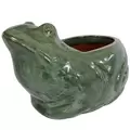 MCarr 13" Frog Planter Falling Green ECOM