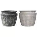 MCarr 24pc India Planter Pallet Mixed Colors