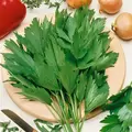 Lovage 1 oz
