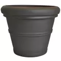 Tusco 36" Rolled Rim Planter Espresso