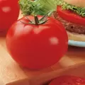 Tomato, Big Beef Untreated - 5000 Sd Ct