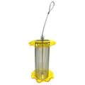 Friends of Flight 7" 1qt Nyjer Acrylic Feeder Yellow