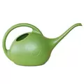 Novelty .5gal Watering Can Green