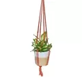 Primitive 36" Rust Macrame Plant Hanger