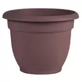 Bloem 12" Ariana w/ Grid Planter Merlot