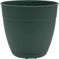 Bloem 6" Dayton Planter Turtle Green