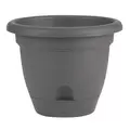 Bloem 8" Lucca Planter Charcoal