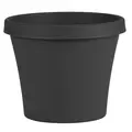 Bloem 6" TerraPot Black
