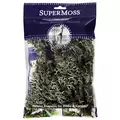SuperMoss 4oz Lichen Parmeli Natural