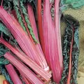 Swiss Chard, Red - 1/2lb