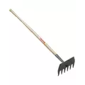 Corona Mcleod Hoe