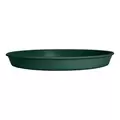 HC 8" Prima Saucer in Evergreen