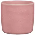 Scheurich 5" Rosea 900/13 Planter