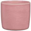 Scheurich 6" Rosea 900/15 Planter