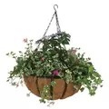 WSP 14" Forge Hanging Basket With Coco Liner
