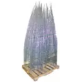 Panacea Tomato Cage Mixed Pallet